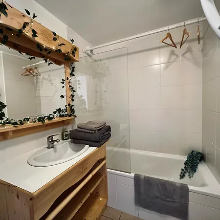 Duplex Au Pied Des Pistes Apartment *
