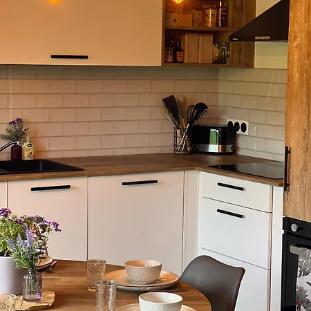 Duplex Au Pied Des Pistes Apartment Albiez-Montrond