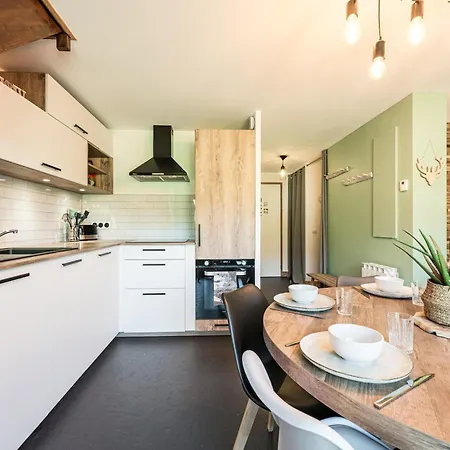 Duplex Au Pied Des Pistes *
